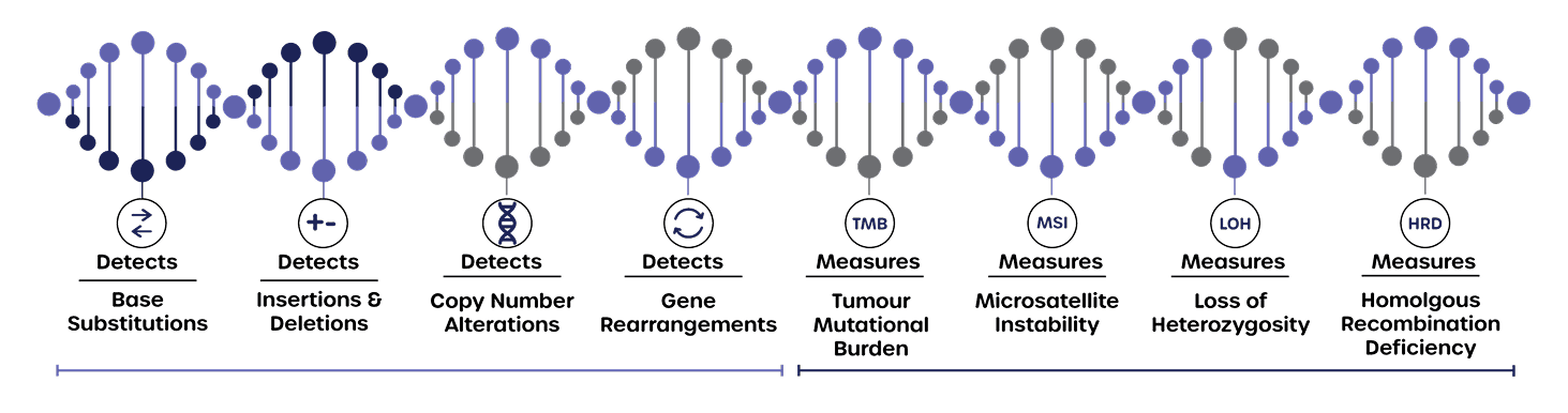 Profiling Timeline